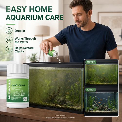 Fast-Acting Anti-Algae Tablets for Aquarium