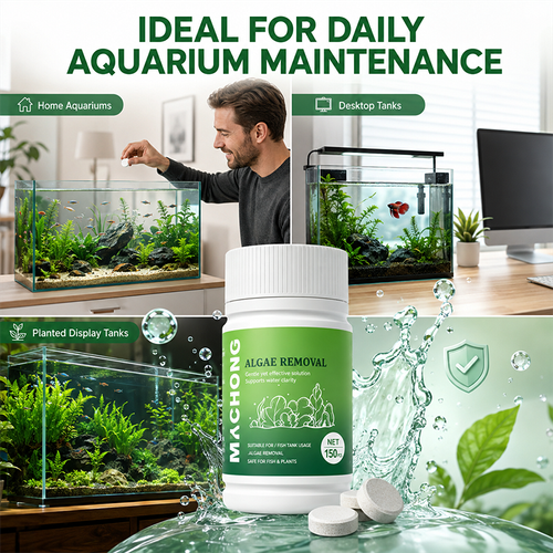 Fast-Acting Anti-Algae Tablets for Aquarium