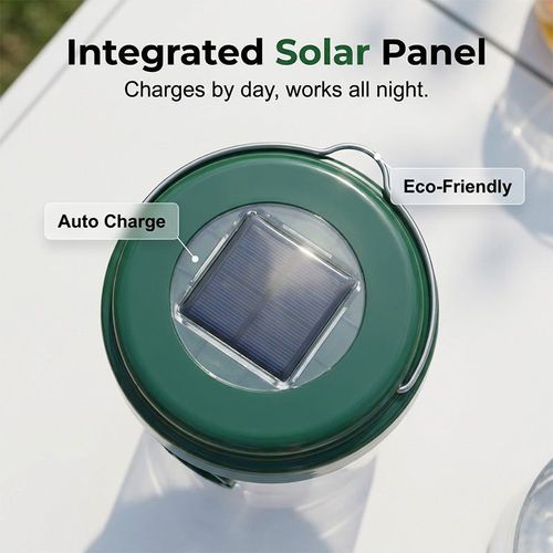 Solar-powered hanging wasp trap