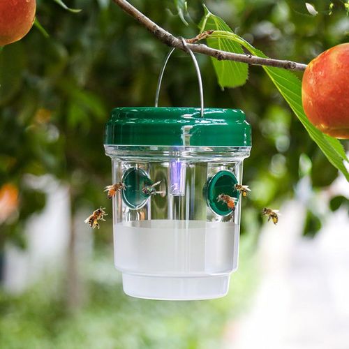 Solar-powered hanging wasp trap