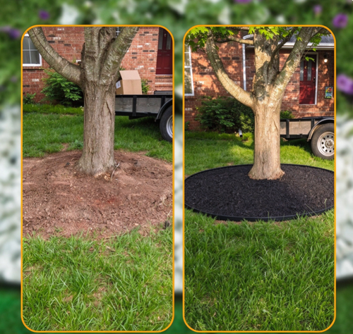 Black lawn edging