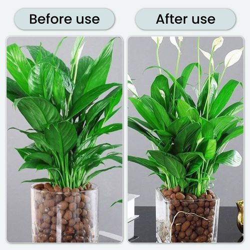 Antibacterial Effervescent Tablets for Flowers