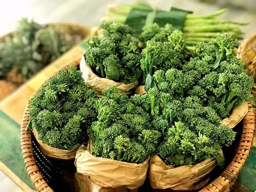 MULTI-SHOOT BROCCOLI SEEDS - Nutritious, refreshing, and easy to prepare