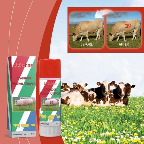 Livestock Marking Chalk