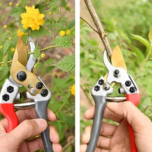 Multi-Purpose Shears