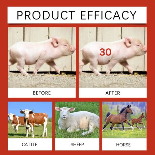 Livestock Marking Chalk