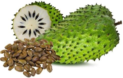 GET 50 SEEDS !!! 💥🌸 Organic Soursop (Graviola) Seeds – Non-GMO Heirloom Tropical Fruit seeds