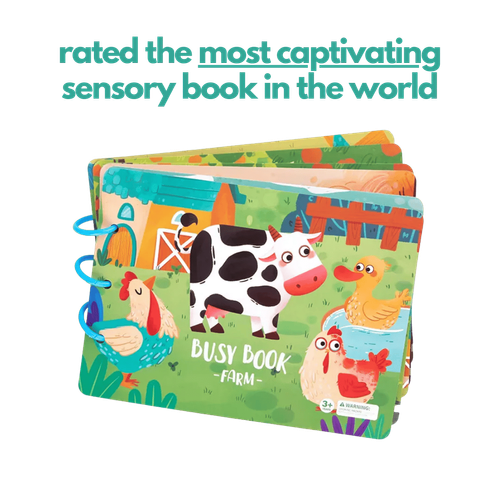 Sensory Book