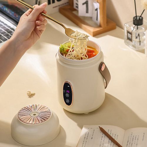 Portable Electric Stewpot