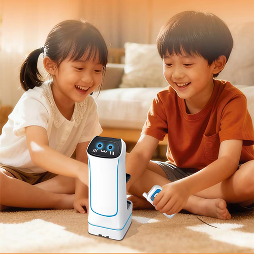 Remote Control Delivery Robot