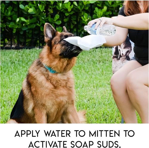 Dog Shampoo Mitts