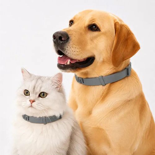 Tick Collars