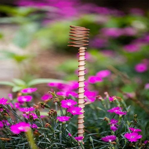 BUY 1 GET 3🔥One Thread - Electro Culture Copper Antenna