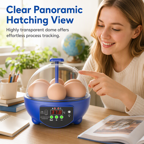 USB Automatic Egg Incubator