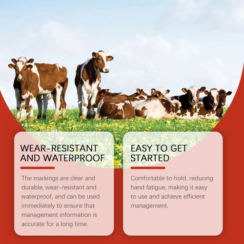 Livestock Marking Chalk
