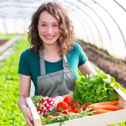 🔥Seasonal Promotion🔥Soil Pro Activator