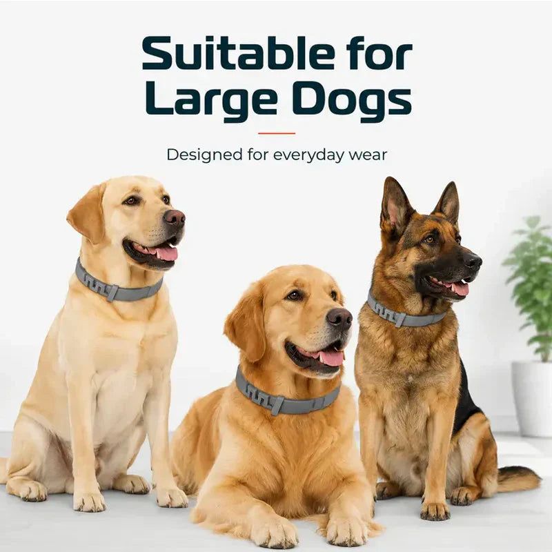 BIG DISCOUNT !! ⏳Time Limited Special ⏰ Adjustable Flea  Tick Collars for Dogs&Cats