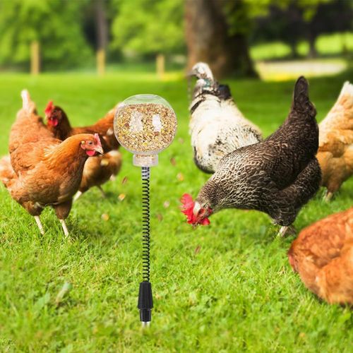 -Chicken Peck Toy, Chicken Swing Feeder, Chick Slow Feeder T