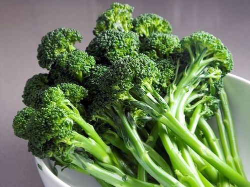 MULTI-SHOOT BROCCOLI SEEDS - Nutritious, refreshing, and easy to prepare