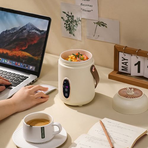 Portable Electric Stewpot