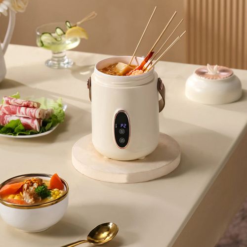 Portable Electric Stewpot
