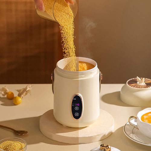 Portable Electric Stewpot