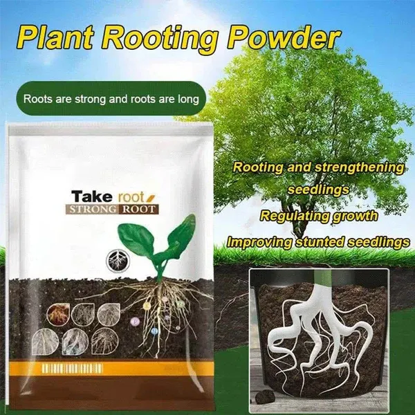 Buy 1, Get 1 Free-Strong Rooting Powder Microbial Fertilizer🌽