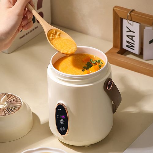 Portable Electric Stewpot