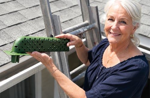 Roof Gutter Anti
