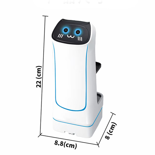 Remote Control Delivery Robot