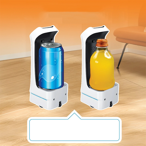 Remote Control Delivery Robot