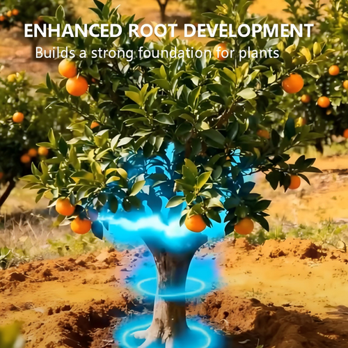 Fertilizer to Fruit Trees