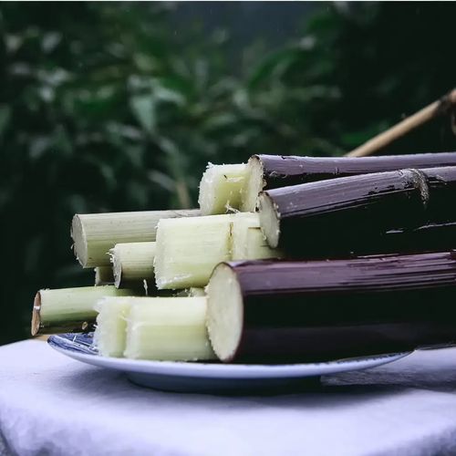 Sugarcane Seeds