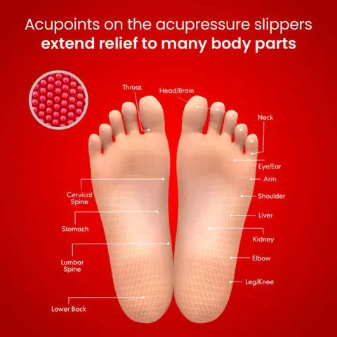 Therapy Slippers