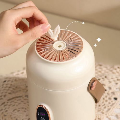Portable Electric Stewpot