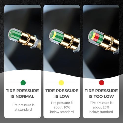 Tire Pressure Monitor Valve