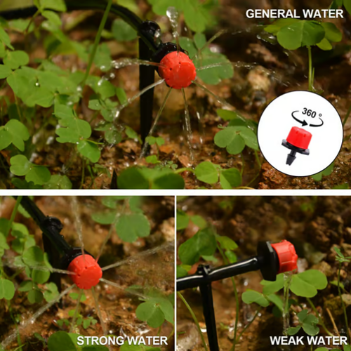 Fog Cooled Automatic Irrigation System