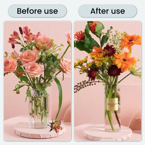 Antibacterial Effervescent Tablets for Flowers