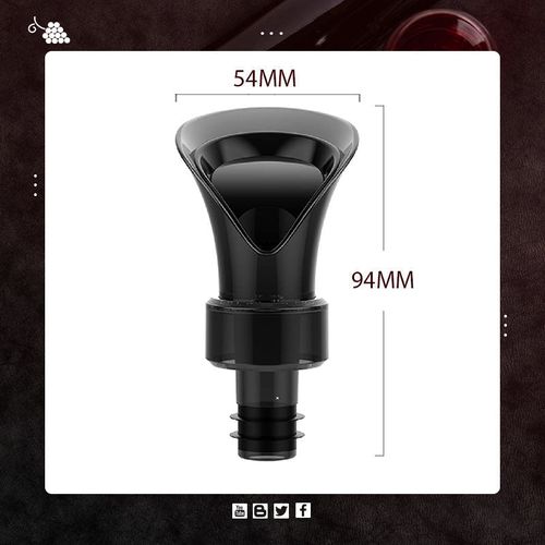 2-in-1 Wine Preservative