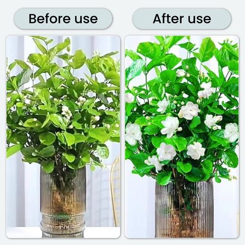 Antibacterial Effervescent Tablets for Flowers