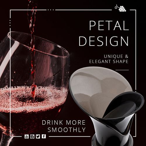2-in-1 Wine Preservative
