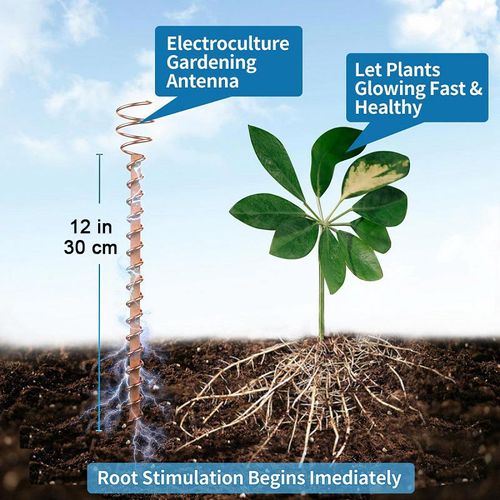 BUY 1 GET 3🔥One Thread - Electro Culture Copper Antenna