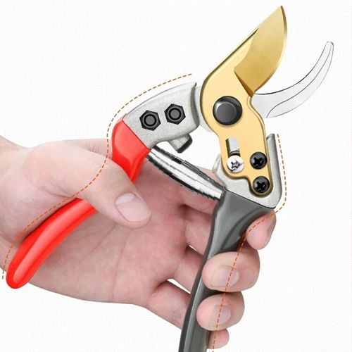 Multi-Purpose Shears