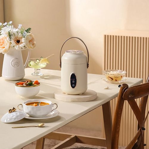Portable Electric Stewpot
