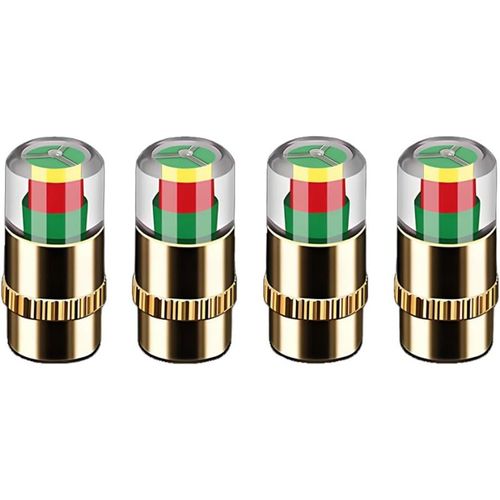Tire Pressure Monitor Valve