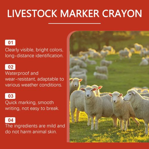 Livestock Marking Chalk