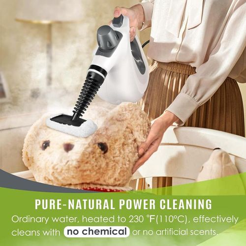 Natural Steam Cleaner