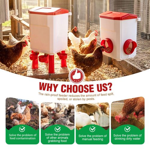 Gravity Poultry Waterer