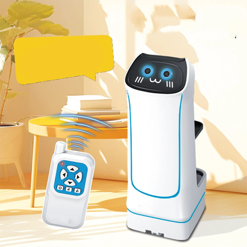 Remote Control Delivery Robot