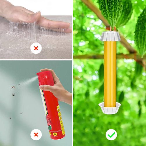 Sticky Traps for Garden Pests